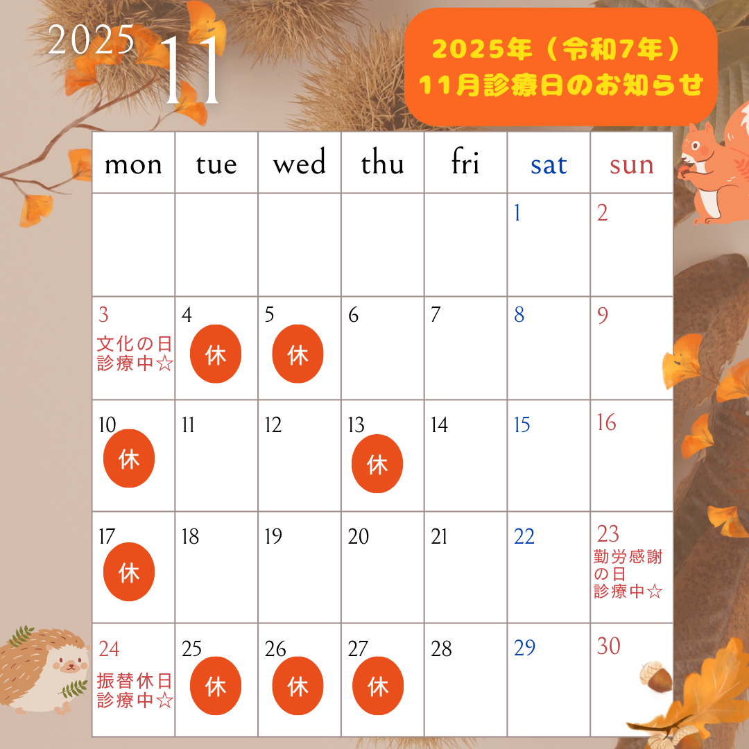 ２０２５年（令和７年）１１月診療日のお知らせ
